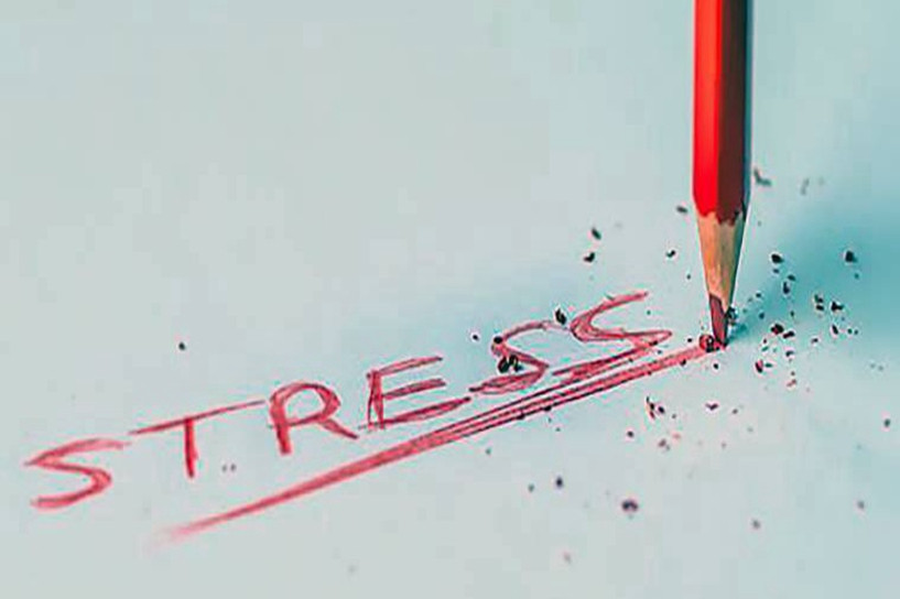 成人高考專升本什么專業(yè)課容易考