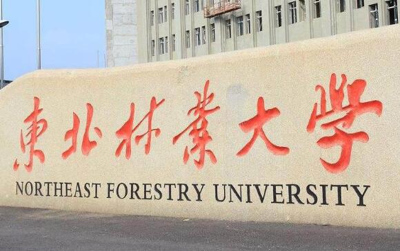 東北林業(yè)大學(xué)成人教育學(xué)院招生專業(yè)【最新】