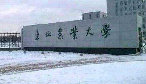 東北農(nóng)業(yè)大學(xué)成人教育學(xué)院招生公告2023年