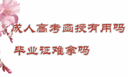 成人高考函授學歷有用嗎