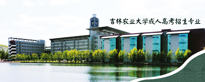 吉林農(nóng)業(yè)大學成人高考招生專業(yè)