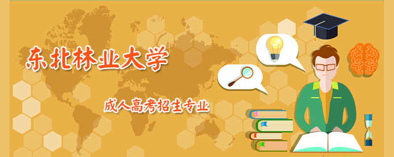 東北林業(yè)大學(xué)成人高考招生專業(yè)