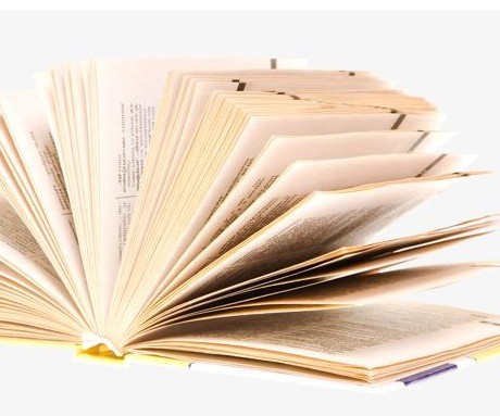 《早雁》中作者擔(dān)憂的主要對象是(　)__《大學(xué)語文》自考