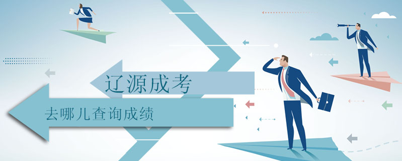 遼源成考去哪兒查詢成績(jī)
