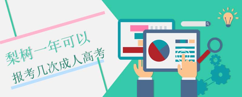 梨樹一年可以報考幾次成人高考